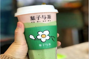 加盟葉子與茶需多少費(fèi)用？冰淇淋加盟機(jī)遇解析